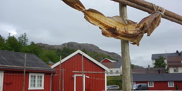 122. Nusfjord, stylová dekorace