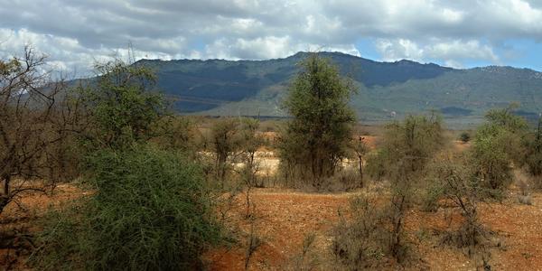 021-cestou do Tsavo, Taita hills