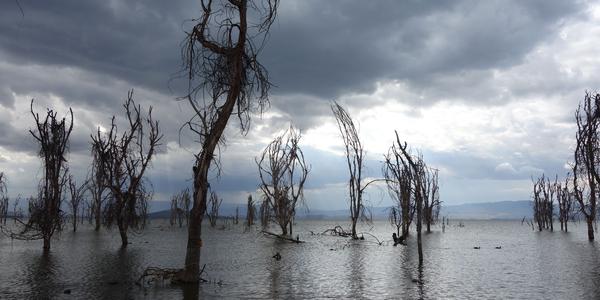 168-jezero Naivasha