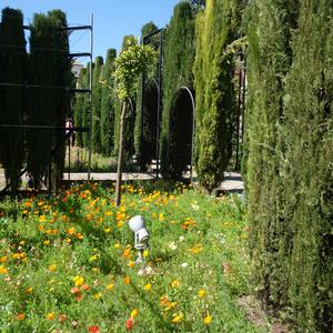 052-Granada, Generalife