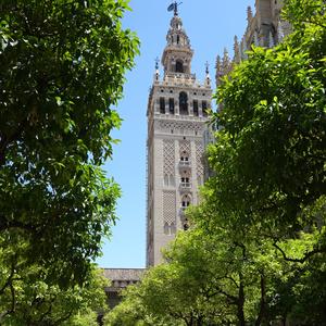 094-Sevilla, Giralda