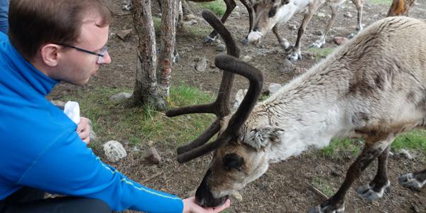121. Jukkasjarvi, na sobí farmě