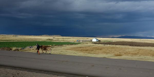 175. Cesta Cuzco-Puno, middle of nowhere