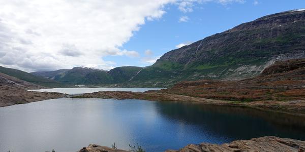173 Svartisen