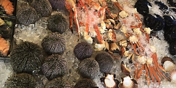 020-Bergen, na tržišti