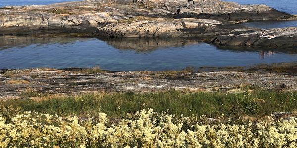 047-Atlanterhavsveien