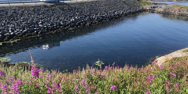 049-Atlanterhavsveien