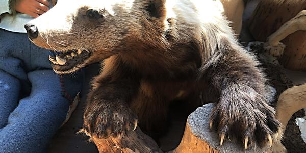 080-Obávaný rosomák