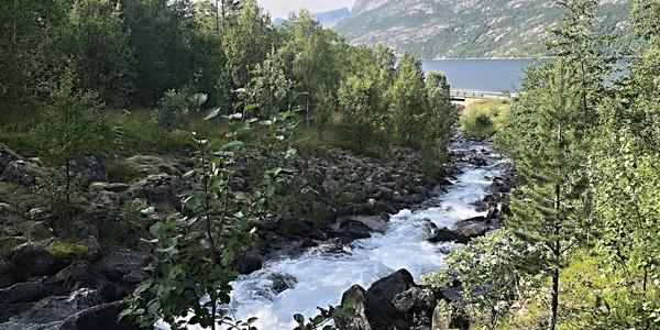 099-Kjopsvik, pod horou Stetind