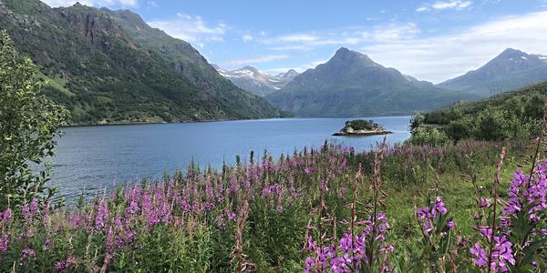 105-Vesterály, Vestbygda