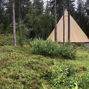 187-Snasavatnet, Sámi Siidaa