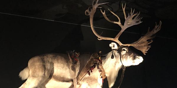 190-Snasavatnet, Sámi Siida