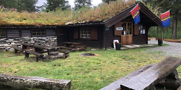 195-Snasavatnet, Bolareinen