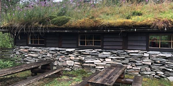 198-Snasavatnet, Bolareinen