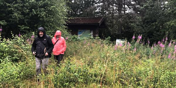 199-Snasavatnet, Bolareinen