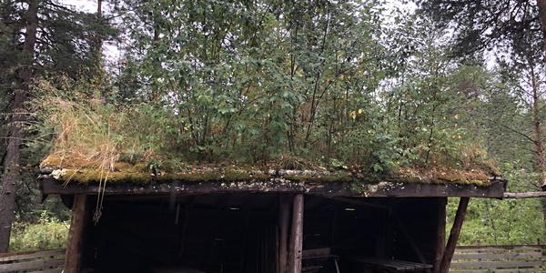 200-Snasavatnet, Bolareinen