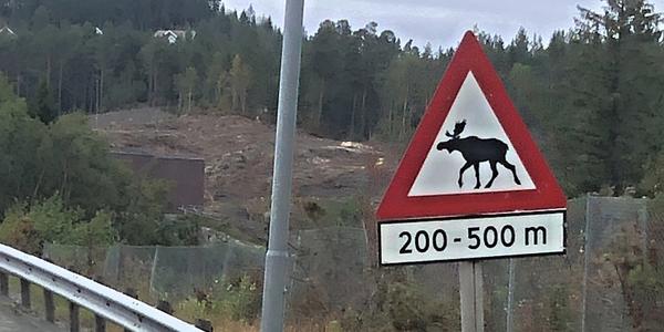 202-Před Trondheimem, loučíme se