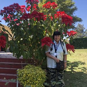 083-Cholula, Euphorbia pulcherrima