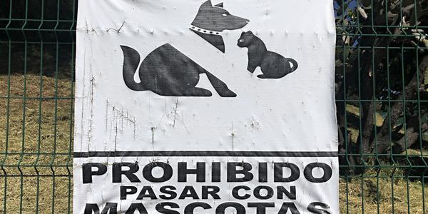 084-Cholula, mazlíčky nechte doma