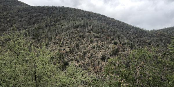 088-Krajina cestou do Oaxaca