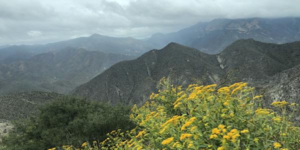 090-Krajina cestou do Oaxaca