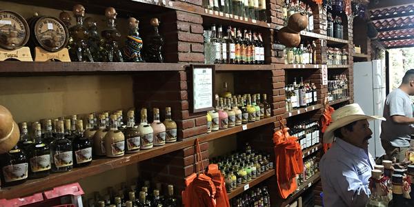 096-Zastávka ve výrobně mezcalu