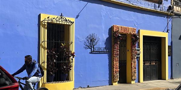 110-Oaxaca, na ulici