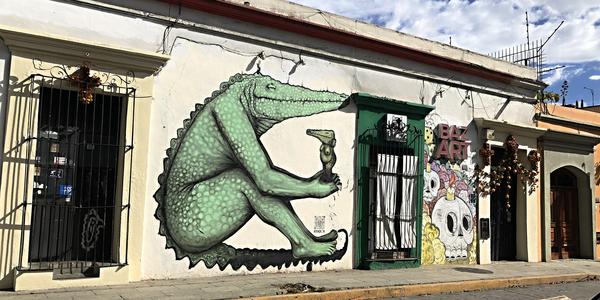 112-Oaxaca, na ulici