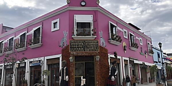 113-Oaxaca, na ulici