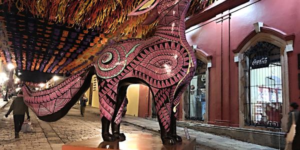 115-Oaxaca, na ulici