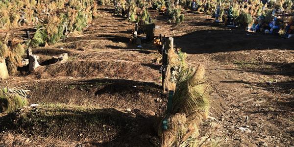 143-San Juan Chamula, hřbitov