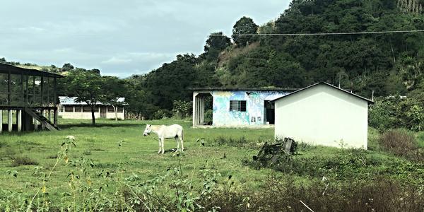 157-Území Zapatistů