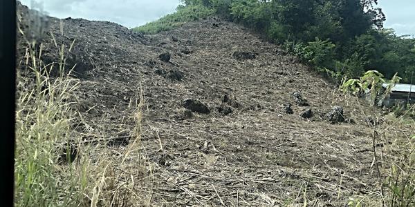 161-Území Zapatistů, zničená krajina