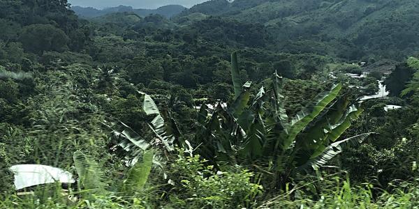 163-Území Zapatistů