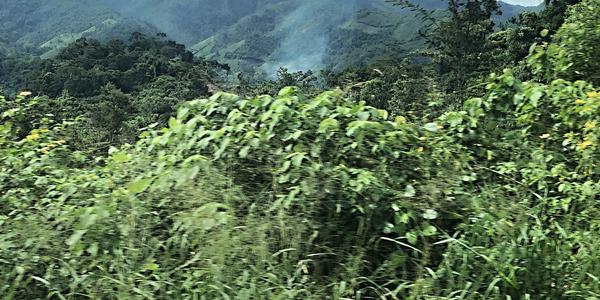 164-Území Zapatistů,obydlí se prozradí kouřem