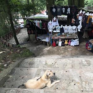 170-Agua Azul žije z turistů