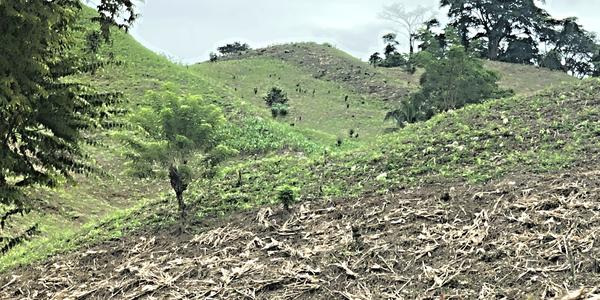 174-Zničená krajina před Misol Há