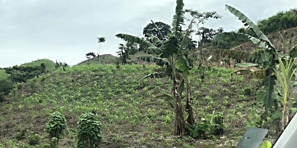 175-Zničená krajina před Misol Há