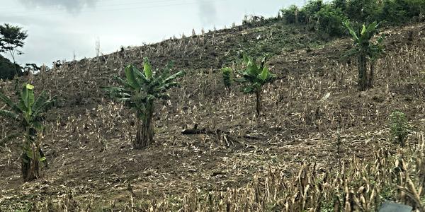 176-Zničená krajina před Misol Há