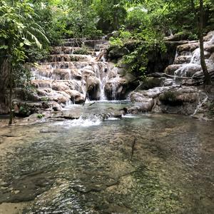 196-Palenque, Netopýří potok