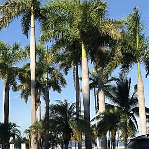 217-Campeche, Malecón