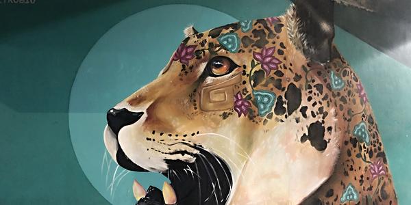 218-Campeche, katedrála