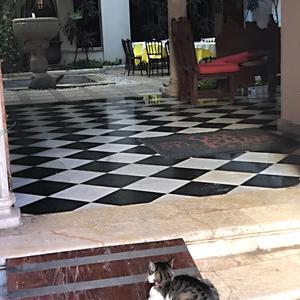 245-Mérida, chci dovnitř