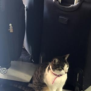 246-Mérida, chci jet s vámi