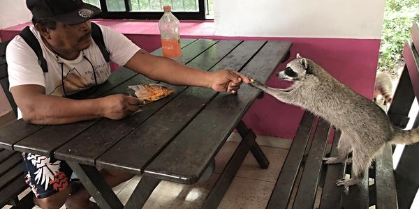 261-BR Celestún, v restauraci