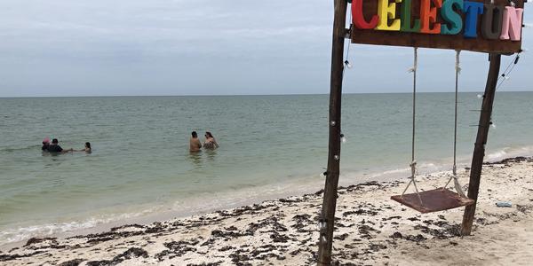 263-Celestún, na pláži