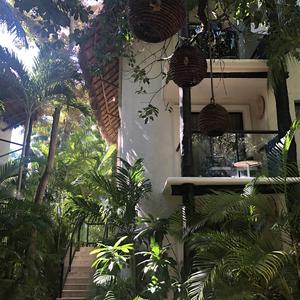 297-Playa Carmen, hotelová zahrada