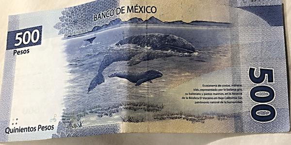 303-Úžasné mexické bankovky