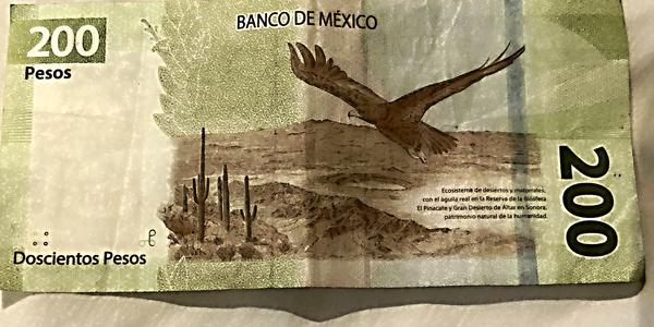 305-Úžasné mexické bankovky