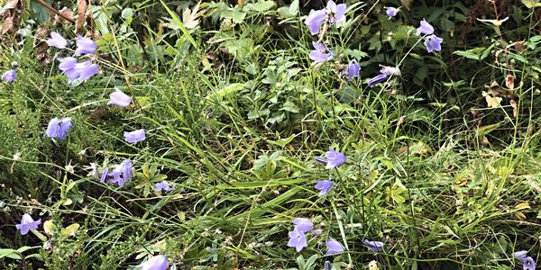 090-Pod ledovcem Briksdalsbreen